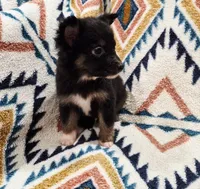 processed/d87077e0-150d-40e7-9b2b-840f6272a440/listing/7d2a1652-49ed-4e32-85a7-c68773220a0c/19c15bde-3f1d-4c36-bbf1-b7c6b7b4360c