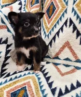 processed/d87077e0-150d-40e7-9b2b-840f6272a440/listing/7d2a1652-49ed-4e32-85a7-c68773220a0c/f9d4c9f9-df1b-4b07-9932-51767357e946