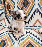 processed/d87077e0-150d-40e7-9b2b-840f6272a440/listing/abb4012e-e135-4fff-ae6e-134342edc898/3be161ec-7769-4d81-89fa-891c12e566d3