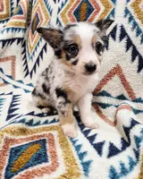 processed/d87077e0-150d-40e7-9b2b-840f6272a440/listing/abb4012e-e135-4fff-ae6e-134342edc898/b7738622-818e-40b5-90cf-da2c57e3d055