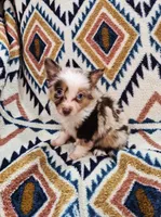 processed/d87077e0-150d-40e7-9b2b-840f6272a440/listing/ffbb8469-56c0-4d67-8f0e-627bcd66ce33/9d488726-3700-4a1d-8eeb-fa315e1f4223