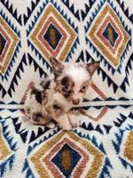 processed/d87077e0-150d-40e7-9b2b-840f6272a440/listing/ffbb8469-56c0-4d67-8f0e-627bcd66ce33/cd323749-0c7b-4a8f-bc63-0b7abf0af162