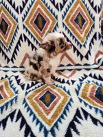 processed/d87077e0-150d-40e7-9b2b-840f6272a440/listing/ffbb8469-56c0-4d67-8f0e-627bcd66ce33/d03235a7-aaba-4953-b7cc-04ecd8fba8ff