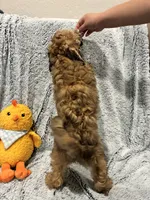 processed/d879eabb-18dd-4120-a30b-2d0c21410bd4/listing/ab2df94d-e974-44bf-b87e-2599144a9bb7/0231b401-3d18-4d44-9e87-eb58d697cde7