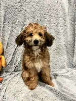 processed/d879eabb-18dd-4120-a30b-2d0c21410bd4/listing/ab2df94d-e974-44bf-b87e-2599144a9bb7/9326d5fc-8f1f-4e1a-ad31-05e249c77404