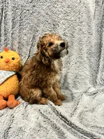 processed/d879eabb-18dd-4120-a30b-2d0c21410bd4/listing/ab2df94d-e974-44bf-b87e-2599144a9bb7/b403bc8e-1578-42f5-9a37-cd8ea2d58f1e