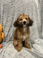 processed/d879eabb-18dd-4120-a30b-2d0c21410bd4/listing/ab2df94d-e974-44bf-b87e-2599144a9bb7/cad7e603-fc6d-4e38-81ed-68a3957bfd2f