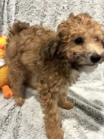 processed/d879eabb-18dd-4120-a30b-2d0c21410bd4/listing/ab2df94d-e974-44bf-b87e-2599144a9bb7/d400c3d2-1fa5-41c0-a2b7-0a38feb28d64