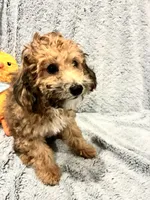 processed/d879eabb-18dd-4120-a30b-2d0c21410bd4/listing/ab2df94d-e974-44bf-b87e-2599144a9bb7/e792cd05-7d30-453e-a760-63f926892116