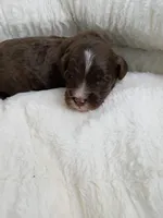 processed/d87d9b7f-e6a6-4c15-af7b-8b8abcbf24c5/listing/039dbf67-e977-4a94-990e-03c13bb00397/2e1c4f88-921b-4022-9068-de20dbf4474f