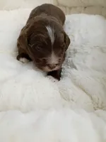 processed/d87d9b7f-e6a6-4c15-af7b-8b8abcbf24c5/listing/039dbf67-e977-4a94-990e-03c13bb00397/4740b2f9-9652-4de0-ab75-8c0e4d8816de