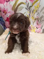 processed/d87d9b7f-e6a6-4c15-af7b-8b8abcbf24c5/listing/039dbf67-e977-4a94-990e-03c13bb00397/930d1a35-e995-47f4-8c83-4aa740fc4ce9