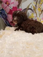 processed/d87d9b7f-e6a6-4c15-af7b-8b8abcbf24c5/listing/039dbf67-e977-4a94-990e-03c13bb00397/c4f614a7-5eb5-44f4-a5d9-a266e723c369