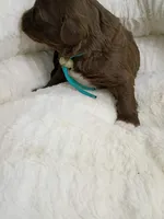 processed/d87d9b7f-e6a6-4c15-af7b-8b8abcbf24c5/listing/039dbf67-e977-4a94-990e-03c13bb00397/d02498e2-1289-4546-85ca-9347b1f85c84