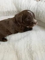 processed/d87d9b7f-e6a6-4c15-af7b-8b8abcbf24c5/listing/039dbf67-e977-4a94-990e-03c13bb00397/d972adde-80a3-40c0-8043-5dd6cc34c39f