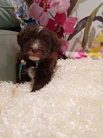 processed/d87d9b7f-e6a6-4c15-af7b-8b8abcbf24c5/listing/039dbf67-e977-4a94-990e-03c13bb00397/e1bc0fb9-b418-4f38-891e-b955d4112967