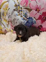 processed/d87d9b7f-e6a6-4c15-af7b-8b8abcbf24c5/listing/03a4197d-f66c-48a7-a408-eff950c03ece/0fb51480-ccd5-4558-ad2e-3661a2744133