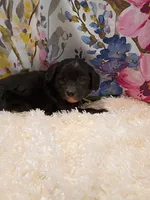 processed/d87d9b7f-e6a6-4c15-af7b-8b8abcbf24c5/listing/03a4197d-f66c-48a7-a408-eff950c03ece/1ec524dc-e353-4e9c-a29c-177c7790a712