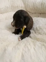 processed/d87d9b7f-e6a6-4c15-af7b-8b8abcbf24c5/listing/03a4197d-f66c-48a7-a408-eff950c03ece/4d2e174a-0fc2-4dbf-86c3-67ec1882d736