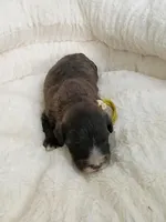 processed/d87d9b7f-e6a6-4c15-af7b-8b8abcbf24c5/listing/03a4197d-f66c-48a7-a408-eff950c03ece/7fd91ef0-130c-4863-9eed-27fdfe0e1126