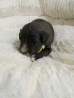 processed/d87d9b7f-e6a6-4c15-af7b-8b8abcbf24c5/listing/03a4197d-f66c-48a7-a408-eff950c03ece/a1782a9e-26ab-4153-97ab-43dd65aaa6ac