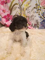 processed/d87d9b7f-e6a6-4c15-af7b-8b8abcbf24c5/listing/16fc73fb-e1f3-4536-9e7a-df01931f2fe6/4e856e6d-801a-42f7-a83a-97fbe32bdcef