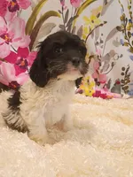 processed/d87d9b7f-e6a6-4c15-af7b-8b8abcbf24c5/listing/16fc73fb-e1f3-4536-9e7a-df01931f2fe6/769ea568-16cd-440f-83bf-ba373f19c119