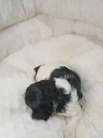 processed/d87d9b7f-e6a6-4c15-af7b-8b8abcbf24c5/listing/16fc73fb-e1f3-4536-9e7a-df01931f2fe6/8300ac44-8f64-4eb6-a2dc-767c885ed253