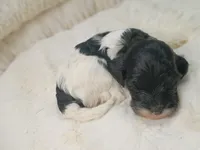 processed/d87d9b7f-e6a6-4c15-af7b-8b8abcbf24c5/listing/16fc73fb-e1f3-4536-9e7a-df01931f2fe6/87d4a4f9-22df-4a07-b57d-73f5a35bec40