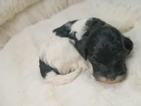 processed/d87d9b7f-e6a6-4c15-af7b-8b8abcbf24c5/listing/16fc73fb-e1f3-4536-9e7a-df01931f2fe6/aa5fd25d-17aa-4031-9da2-6528e7ef2867