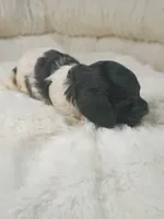 processed/d87d9b7f-e6a6-4c15-af7b-8b8abcbf24c5/listing/16fc73fb-e1f3-4536-9e7a-df01931f2fe6/f74636df-f063-4dd7-a0c4-06ff450c495a