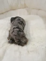 processed/d87d9b7f-e6a6-4c15-af7b-8b8abcbf24c5/listing/1e7fd6a7-4f6d-4622-bfc3-77575e3794ae/12ab7c16-8a06-4e86-b233-460c92a44c75