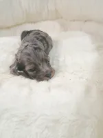 processed/d87d9b7f-e6a6-4c15-af7b-8b8abcbf24c5/listing/1e7fd6a7-4f6d-4622-bfc3-77575e3794ae/1d07f8dc-375f-44b4-bf99-b4f3c81e30f3