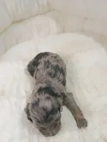 processed/d87d9b7f-e6a6-4c15-af7b-8b8abcbf24c5/listing/1e7fd6a7-4f6d-4622-bfc3-77575e3794ae/3b8c27a7-4d45-47fc-aecd-4c550880c2fd