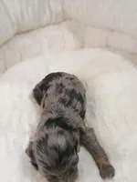 processed/d87d9b7f-e6a6-4c15-af7b-8b8abcbf24c5/listing/1e7fd6a7-4f6d-4622-bfc3-77575e3794ae/76447df9-68bc-4958-9cf0-5aca1261168b