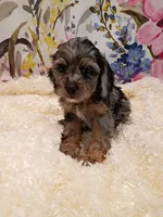 processed/d87d9b7f-e6a6-4c15-af7b-8b8abcbf24c5/listing/1e7fd6a7-4f6d-4622-bfc3-77575e3794ae/96d762a4-d59d-44ee-a7ea-9538c23066e8