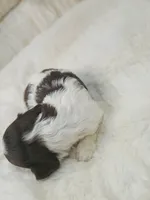 processed/d87d9b7f-e6a6-4c15-af7b-8b8abcbf24c5/listing/2bc5dd88-b1e9-48aa-a0d4-f6636449f0b4/5dacfa18-1496-4e1b-99d2-b1f9435b2426