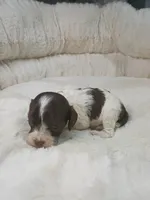 processed/d87d9b7f-e6a6-4c15-af7b-8b8abcbf24c5/listing/2bc5dd88-b1e9-48aa-a0d4-f6636449f0b4/823f3173-725f-4c06-b1dc-d33552d962c0