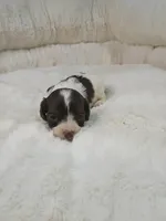 processed/d87d9b7f-e6a6-4c15-af7b-8b8abcbf24c5/listing/2bc5dd88-b1e9-48aa-a0d4-f6636449f0b4/b2e0c4f0-4e76-4e87-89eb-b7f5fd41c9cd