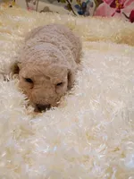 processed/d87d9b7f-e6a6-4c15-af7b-8b8abcbf24c5/listing/4ab6e7cc-82ff-44c9-9446-d8de0244f373/a07eee25-cb34-41fb-9dac-f379c0e70f9f