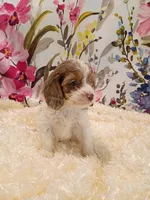 processed/d87d9b7f-e6a6-4c15-af7b-8b8abcbf24c5/listing/58623e41-2ece-4b5c-b256-dbb5c99d63f5/200f579b-910e-491c-926d-619b718311ac