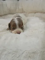 processed/d87d9b7f-e6a6-4c15-af7b-8b8abcbf24c5/listing/58623e41-2ece-4b5c-b256-dbb5c99d63f5/3e5c3b69-4576-4e70-8147-e399ebdb89dc