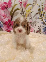 processed/d87d9b7f-e6a6-4c15-af7b-8b8abcbf24c5/listing/58623e41-2ece-4b5c-b256-dbb5c99d63f5/686f47c8-c291-45ed-95c4-ac3e349b65c6