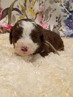 processed/d87d9b7f-e6a6-4c15-af7b-8b8abcbf24c5/listing/60aa2f25-133b-4163-a3ec-a89edaed7fd7/1eb57129-6f8d-4ada-9886-f192907daeb9