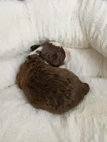 processed/d87d9b7f-e6a6-4c15-af7b-8b8abcbf24c5/listing/60aa2f25-133b-4163-a3ec-a89edaed7fd7/47090484-4864-468e-823a-5c604c42c36f