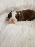 processed/d87d9b7f-e6a6-4c15-af7b-8b8abcbf24c5/listing/60aa2f25-133b-4163-a3ec-a89edaed7fd7/5480c688-72ff-433d-8234-2e31343ded9a