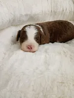 processed/d87d9b7f-e6a6-4c15-af7b-8b8abcbf24c5/listing/60aa2f25-133b-4163-a3ec-a89edaed7fd7/79fef2bf-a8c1-472f-8191-e36ee26a69f9