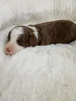 processed/d87d9b7f-e6a6-4c15-af7b-8b8abcbf24c5/listing/60aa2f25-133b-4163-a3ec-a89edaed7fd7/a0353483-737b-4c5c-841b-fbde62fb72c5