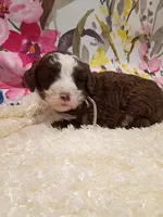 processed/d87d9b7f-e6a6-4c15-af7b-8b8abcbf24c5/listing/60aa2f25-133b-4163-a3ec-a89edaed7fd7/c88d4b5d-14ff-48f1-9f4e-489971bd6932