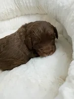 processed/d87d9b7f-e6a6-4c15-af7b-8b8abcbf24c5/listing/6f193726-42da-4bcd-97f7-911bed05cc87/0317ade6-ed66-4875-a2c1-d487ca0fd25d